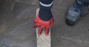 Polyco Gloves