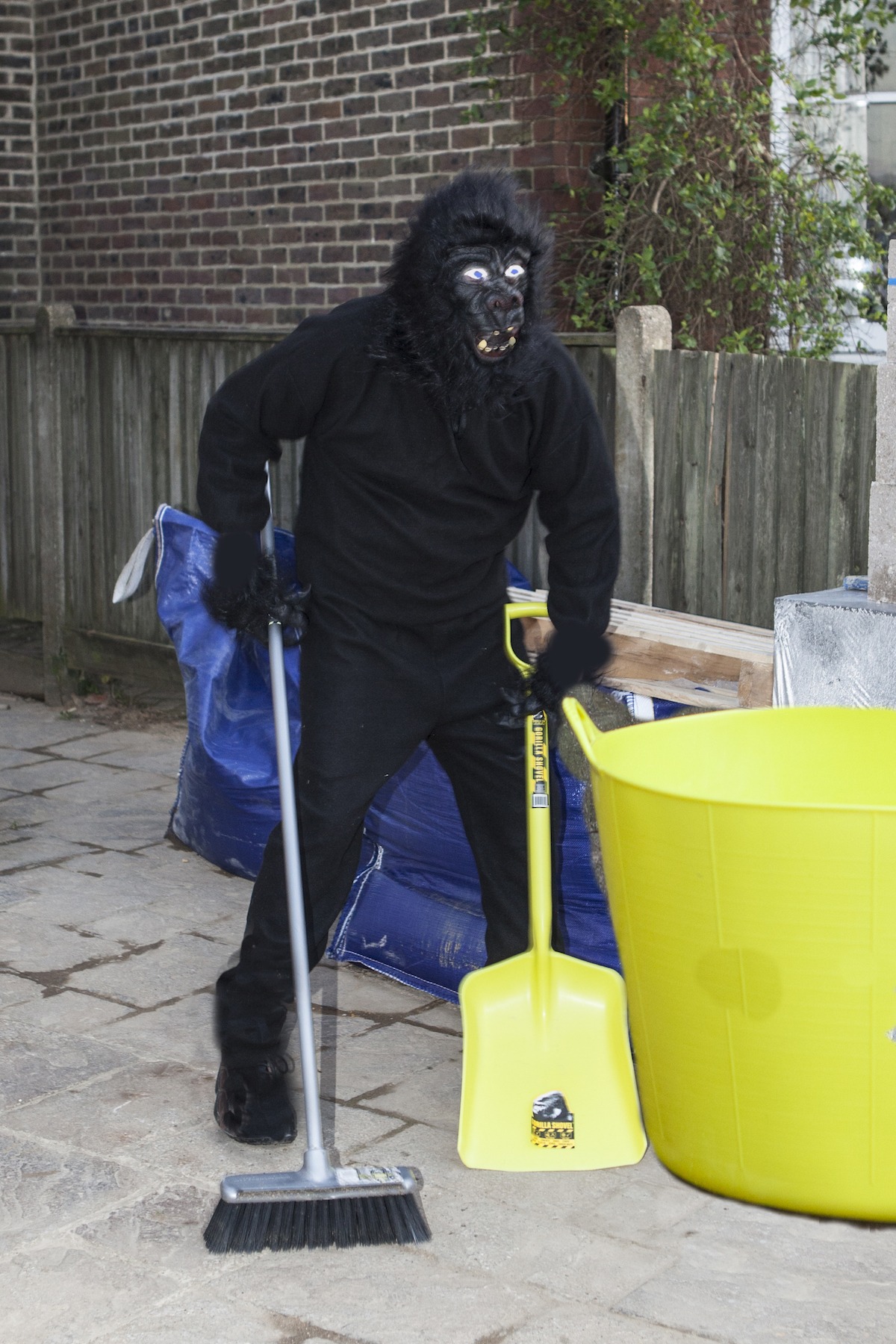 Gorilla bucket and mop