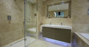mouldy bathrooms