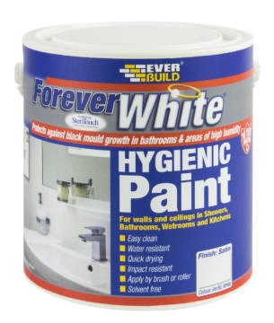 Forever white paint