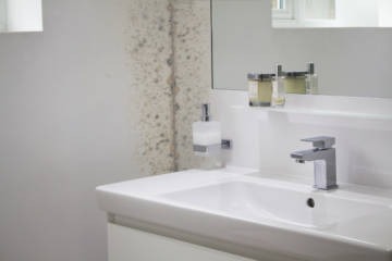 Mould forever white paint