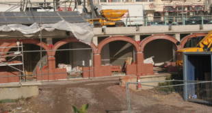 brick brace review
