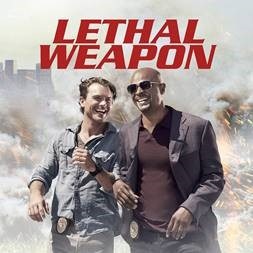checkatrade lethal weapon