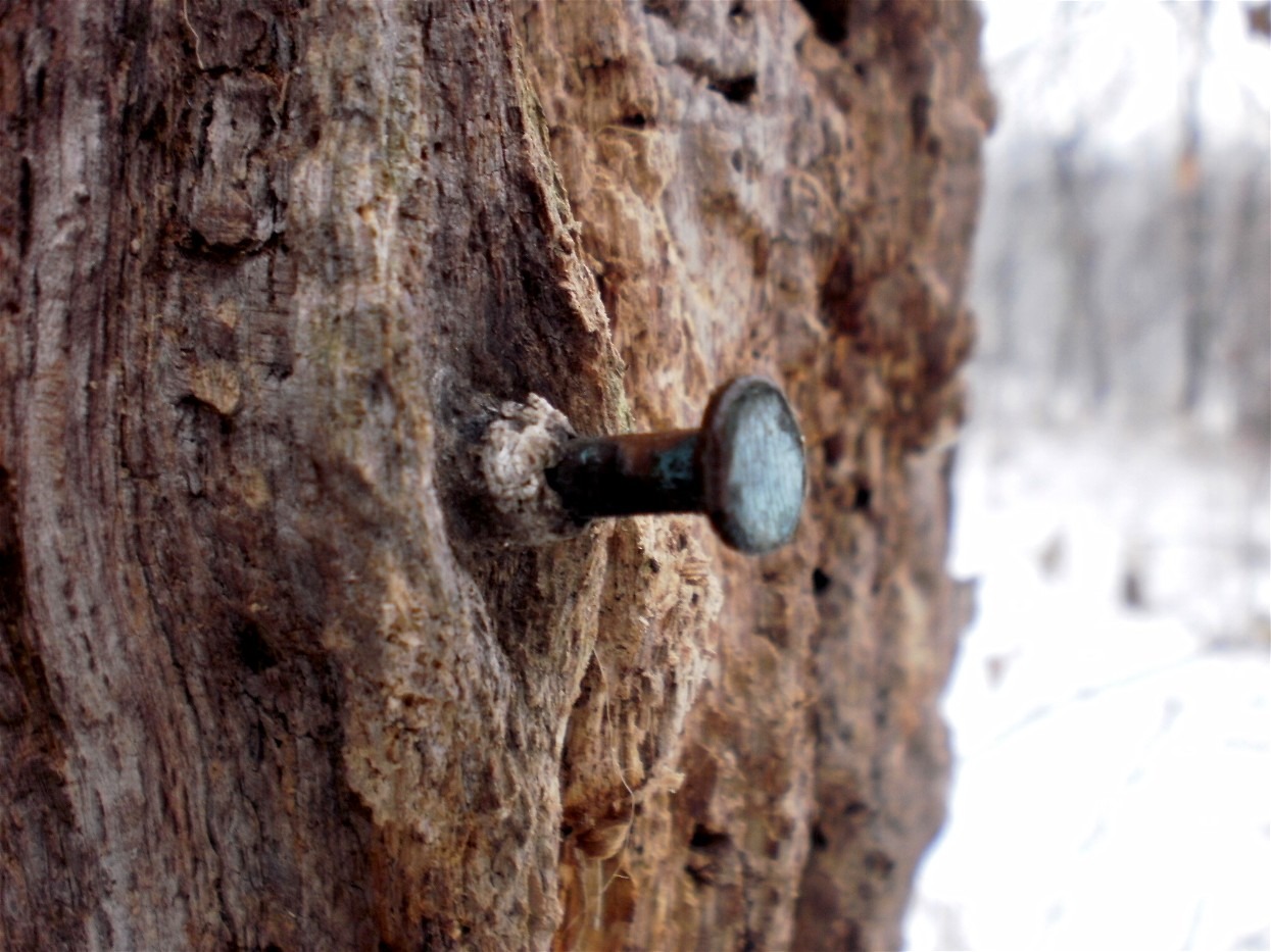 10 Home Improvement And DIY Myths That Are Completely False