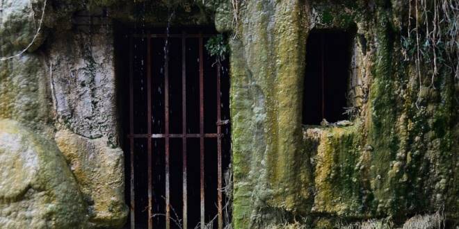 Damp and mould problems