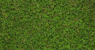 artificial grass