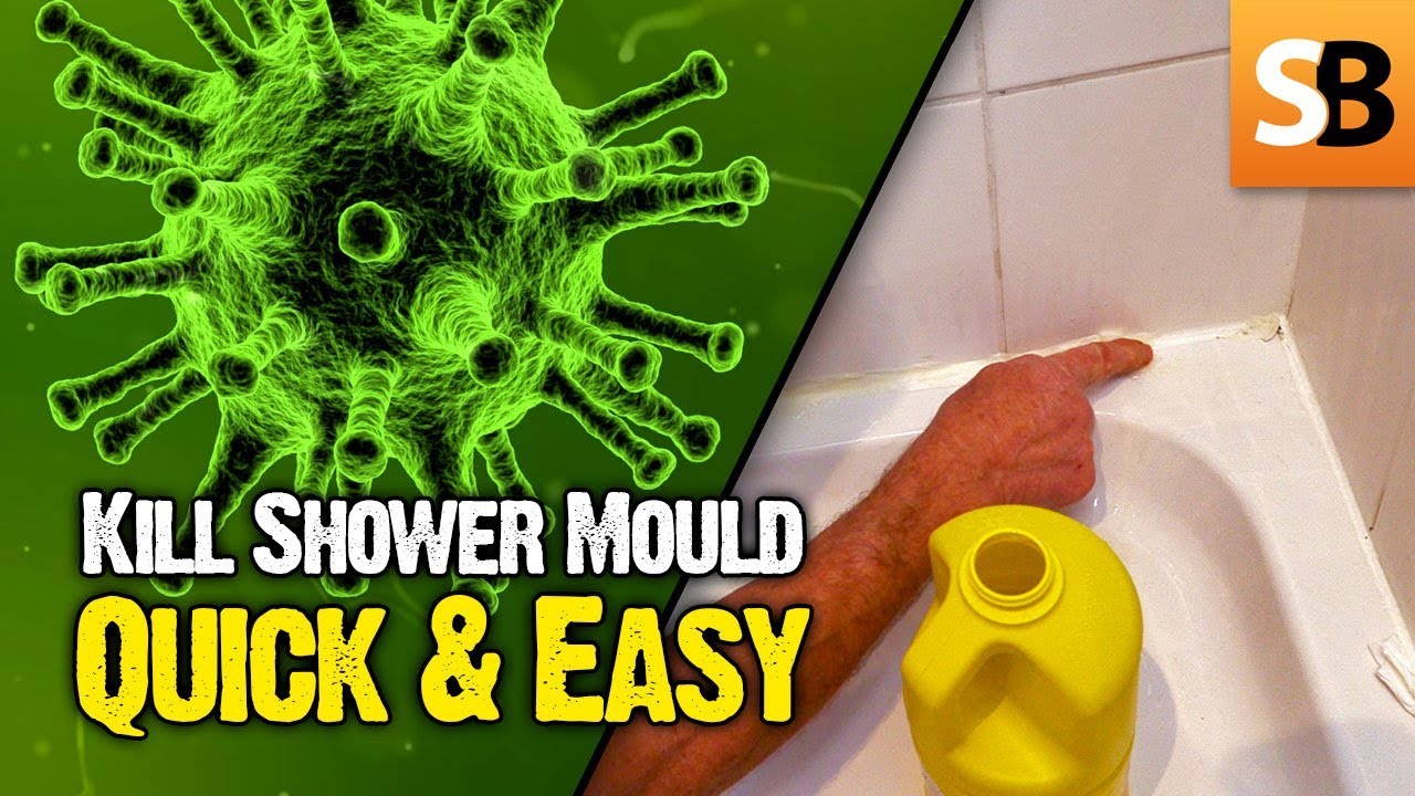 Remove Black Shower Mold