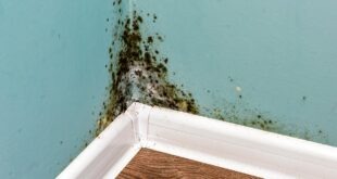 How to Remove Humidity