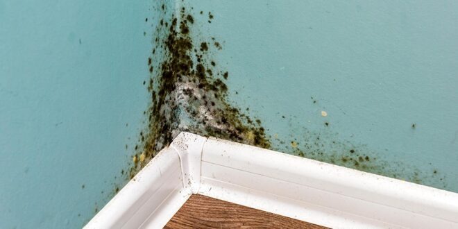 How to Remove Humidity