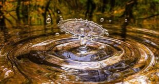 Ways To Conserve Water