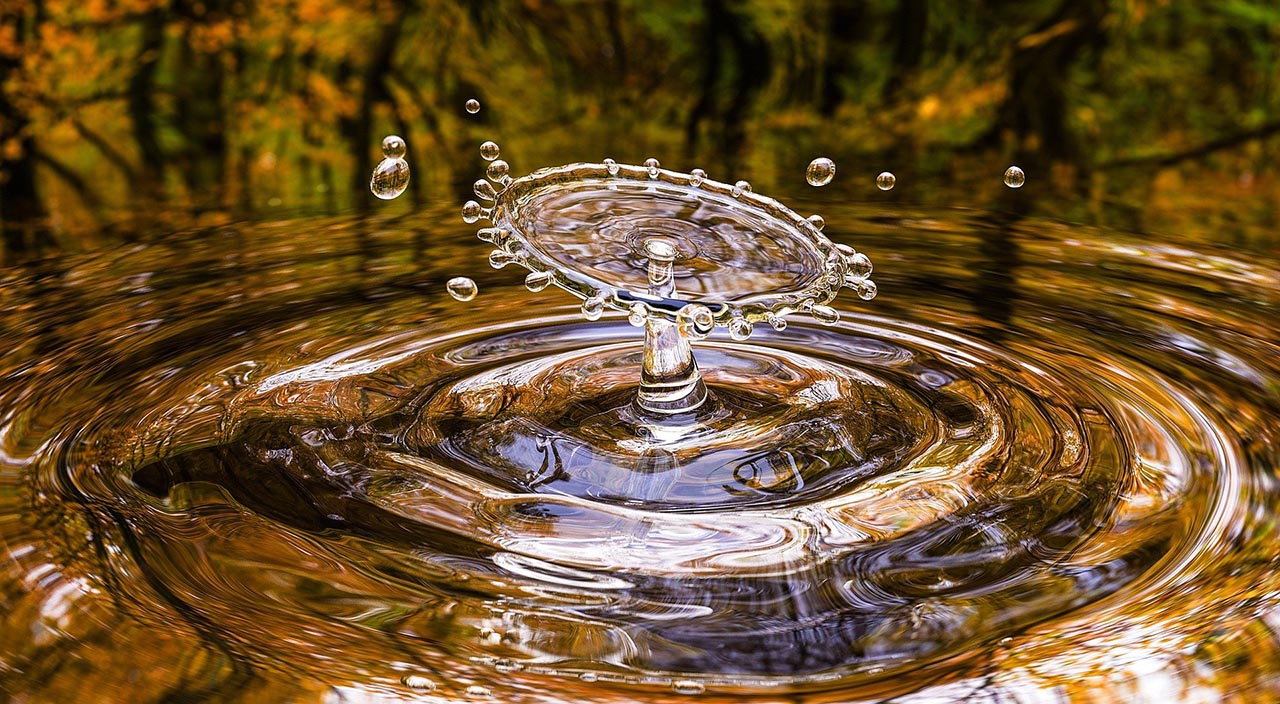 Ways To Conserve Water