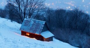 3 Common Household Issues During the Winter Season