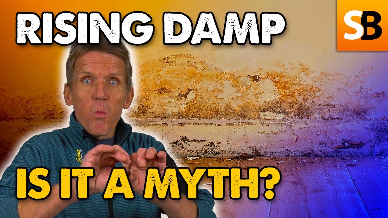 Rising Damp