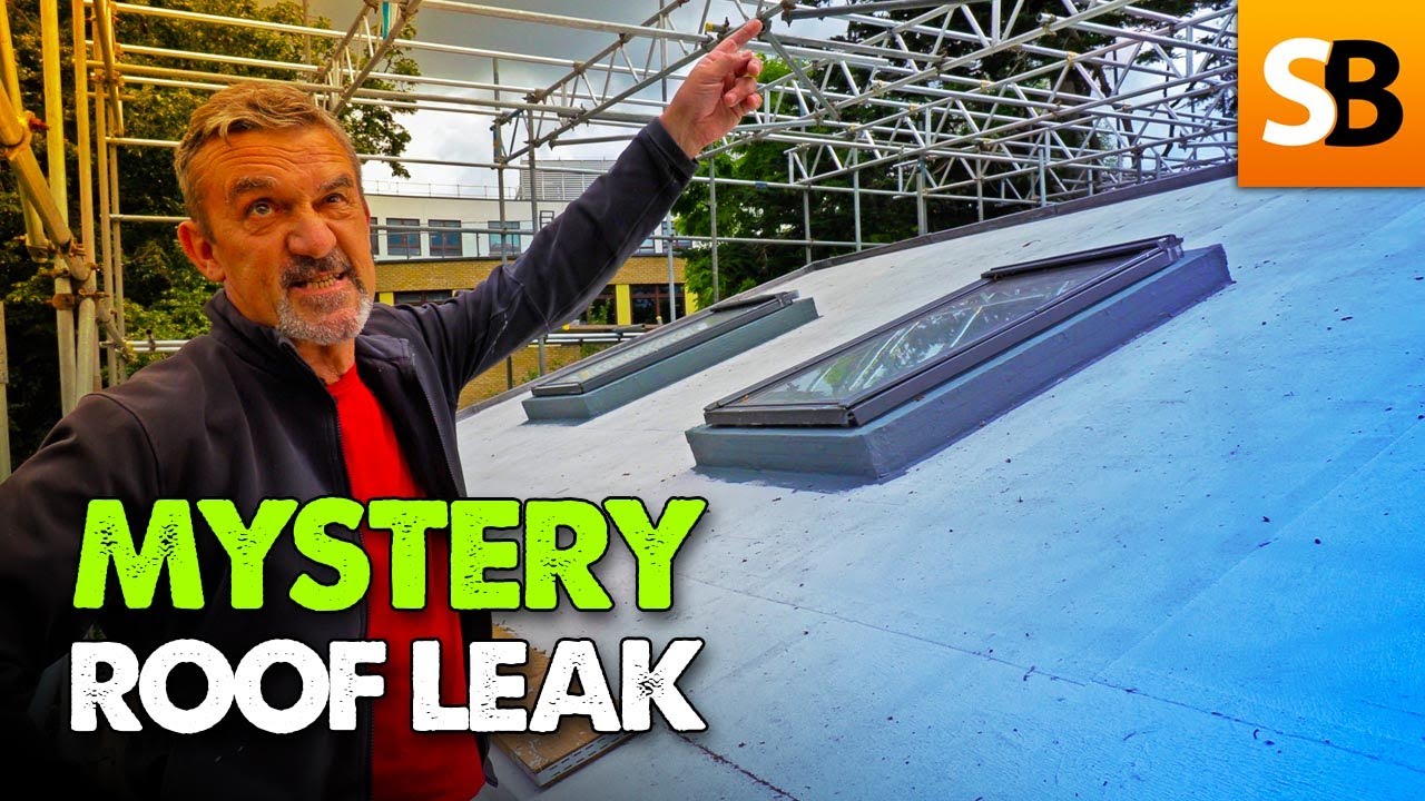 Leaking Roof