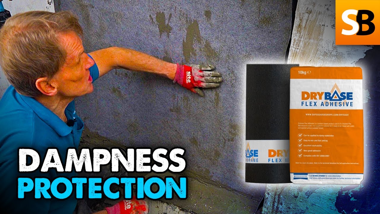 Dampness in Walls
