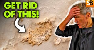 stop rising damp in its tracks youtube thumbnail