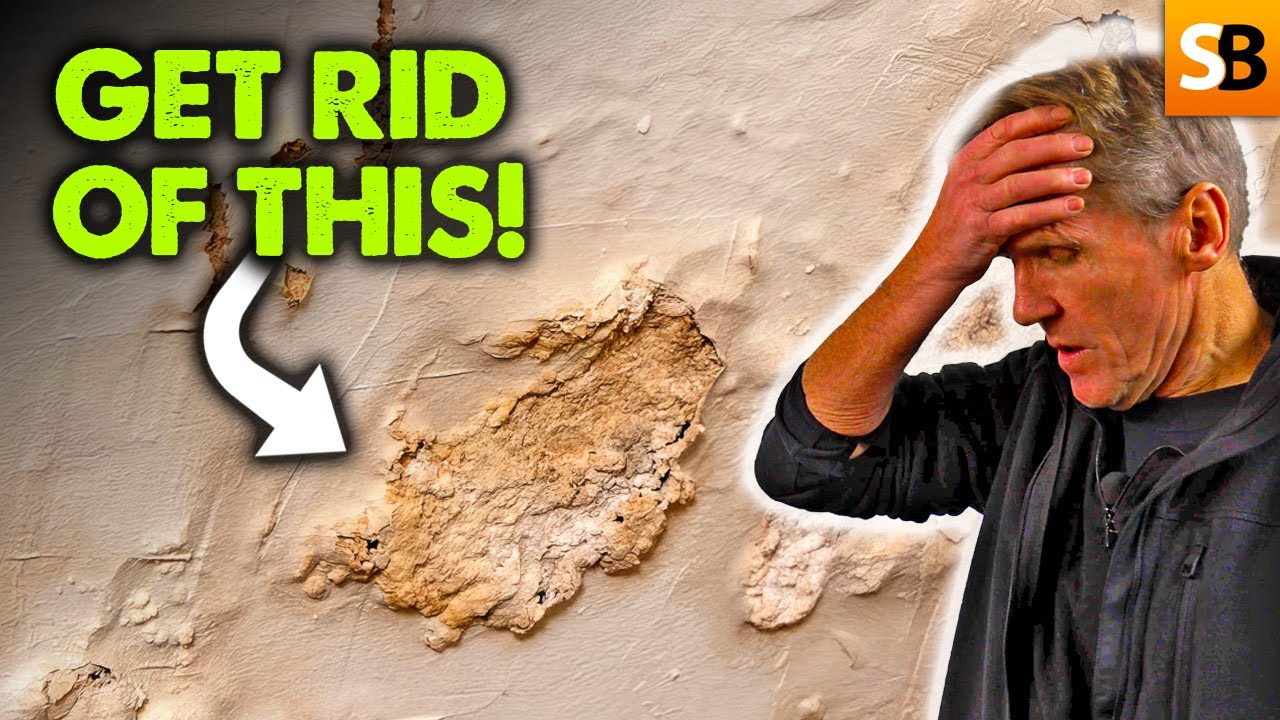 Stop Rising Damp in Its Tracks