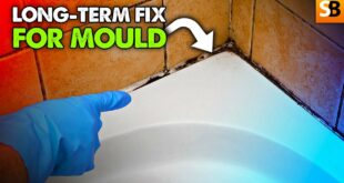 mouldy shower cured for good youtube thumbnail
