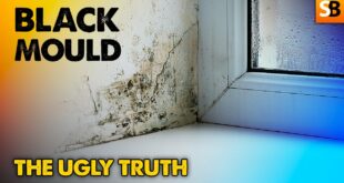 the ugly truth about black mould youtube thumbnail