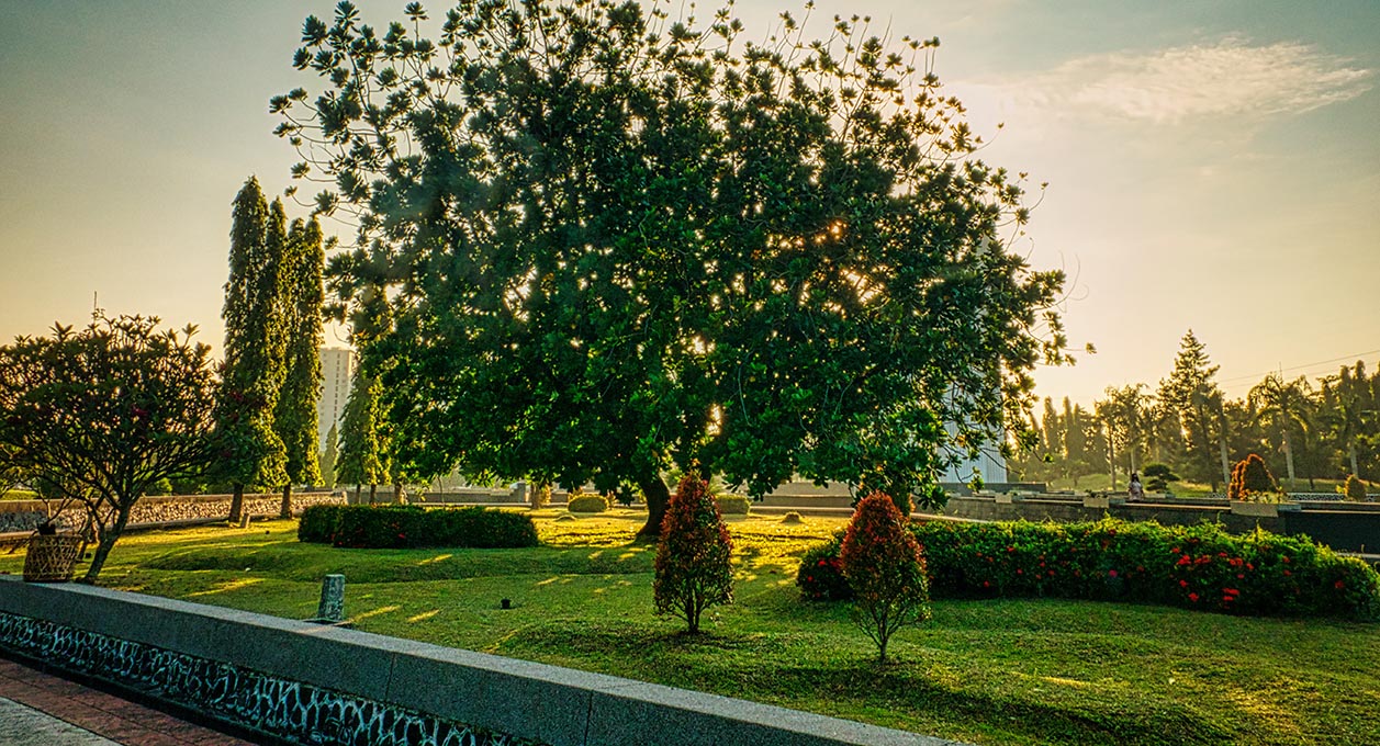Professional Landscaping and Garden Care