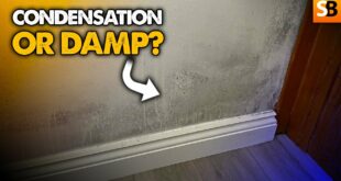 is this condensation or rising damp youtube thumbnail