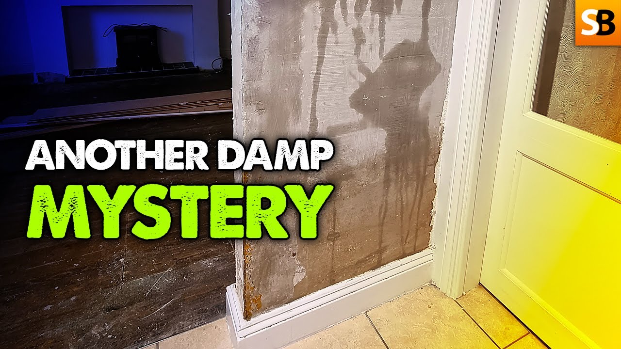 Don’t Treat Damp The Wrong Way