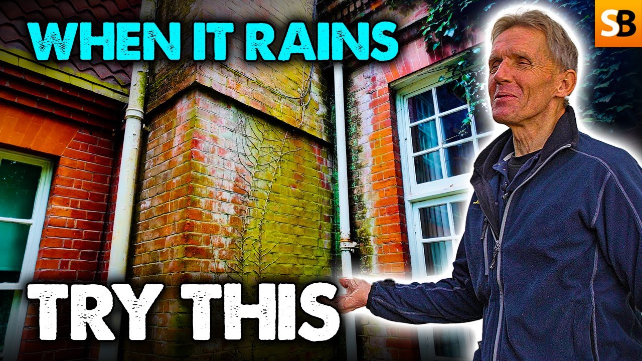 Manage Rainwater
