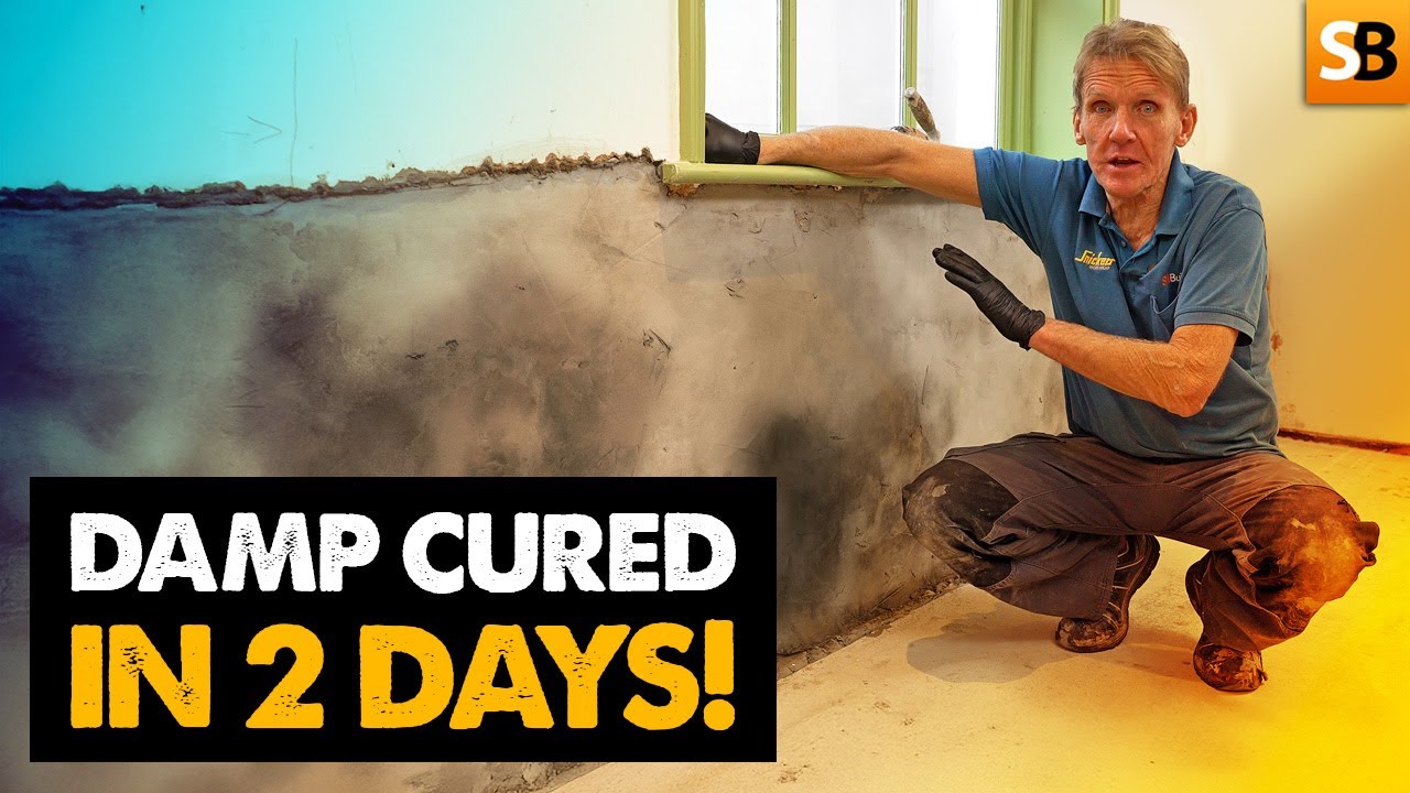 Stop Damp