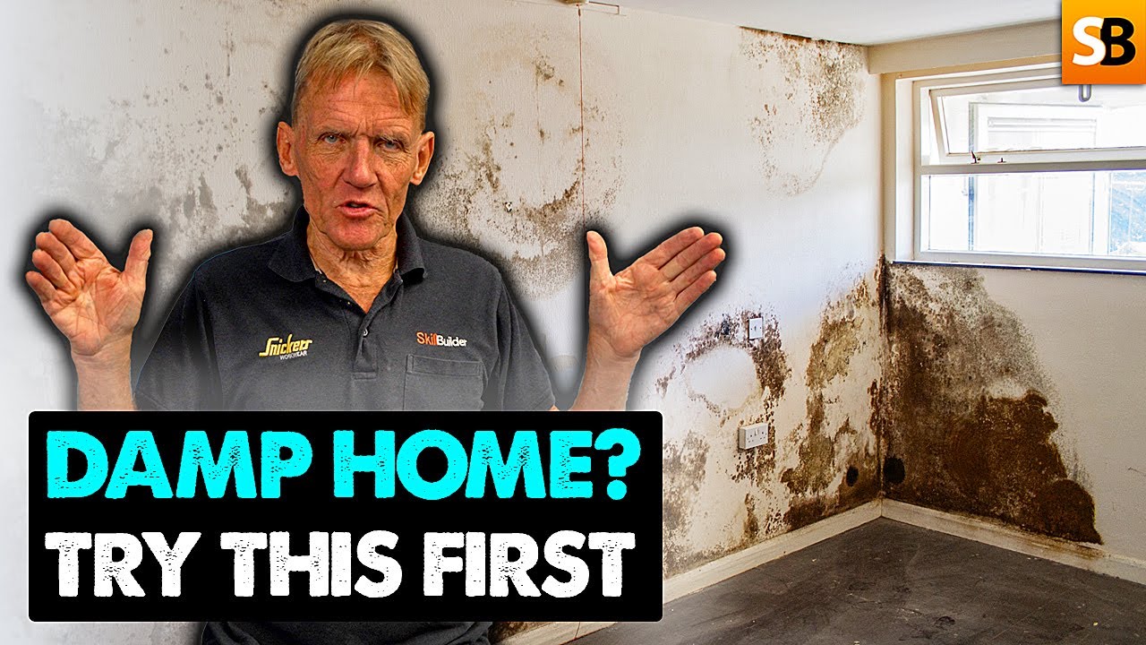 Damp Problems