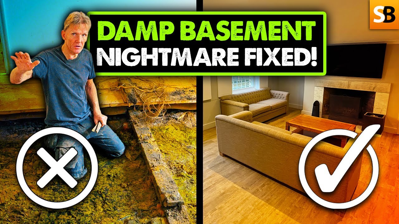 Step-by-Step Basement Renovation: No More Damp, No More Rot!