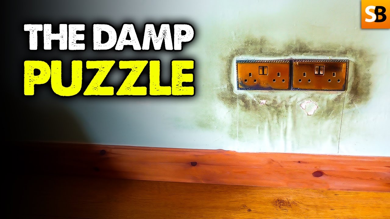 Mystery Damp Problem with a Hidden Cause