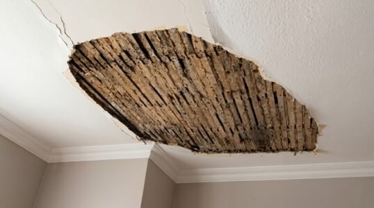 Artex Ceilings