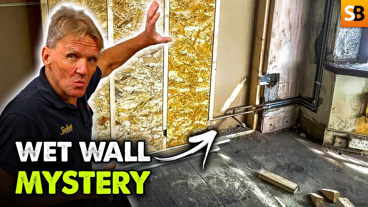 Peeling Plaster? Don’t Panic, Watch This